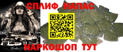 гашик Кандалакша