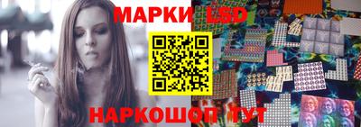 прущие крисы Камышлов