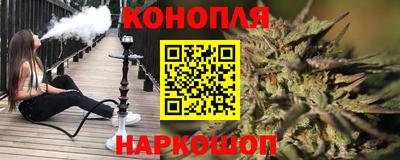гашик Кандалакша
