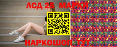 гашик Кандалакша