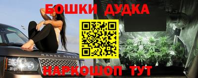 прущие крисы Камышлов
