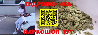 mdpv Кимры