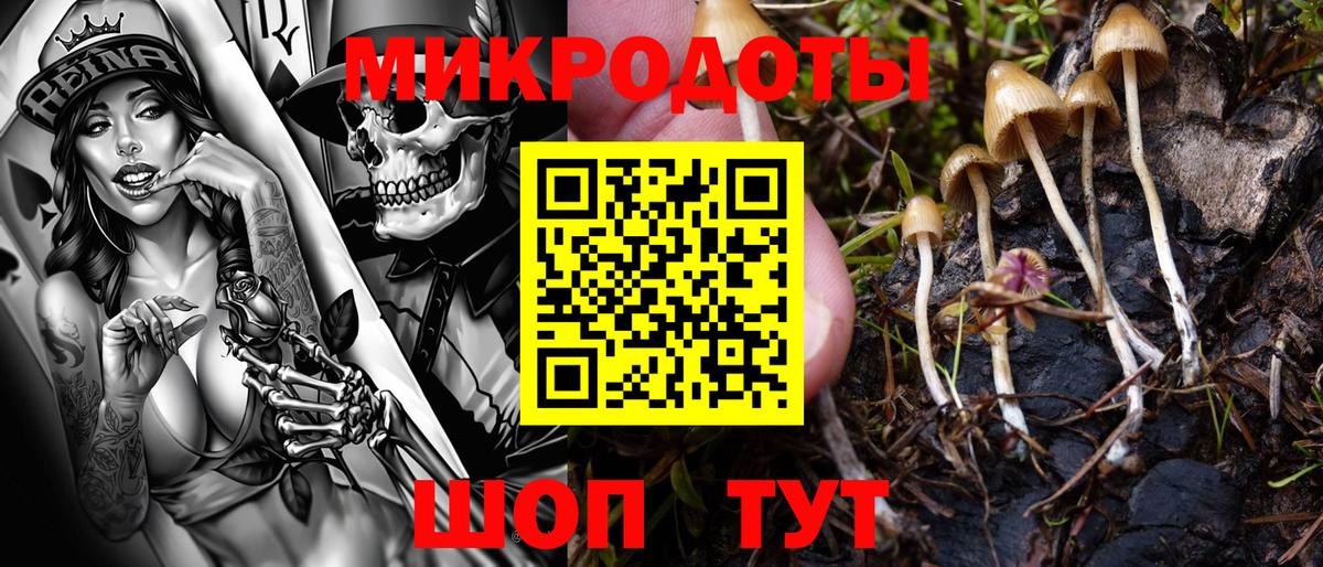 Галлюциногенные грибы Magic Shrooms Чайковский