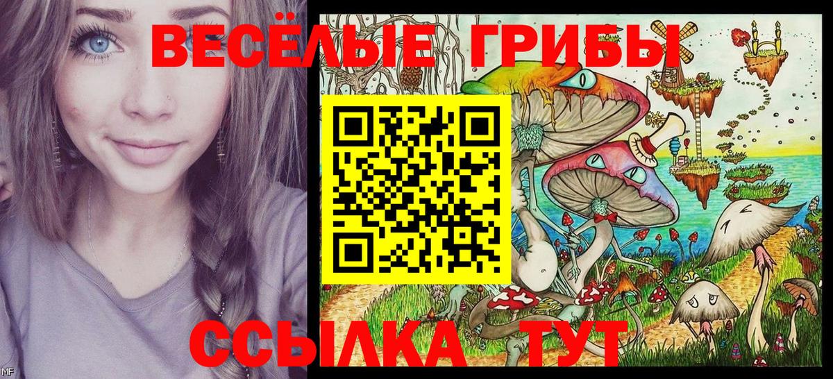 Псилоцибиновые грибы мицелий  Галлюциногенные грибы ЛСД  Чайковский 