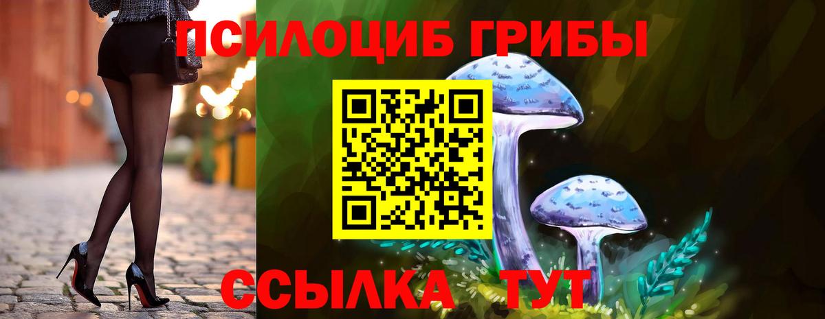 Галлюциногенные грибы GOLDEN TEACHER  Псилоцибиновые грибы MAGIC MUSHROOMS  Чайковский  Вход с VPN 
